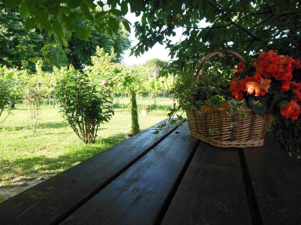Al Pic De Corone Bed & Breakfast Terzo d' Aquileia Exterior photo