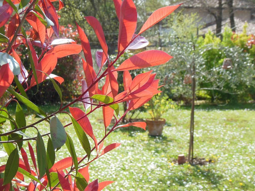 Al Pic De Corone Bed & Breakfast Terzo d' Aquileia Exterior photo