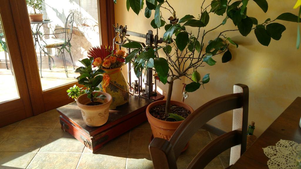 Al Pic De Corone Bed & Breakfast Terzo d' Aquileia Exterior photo
