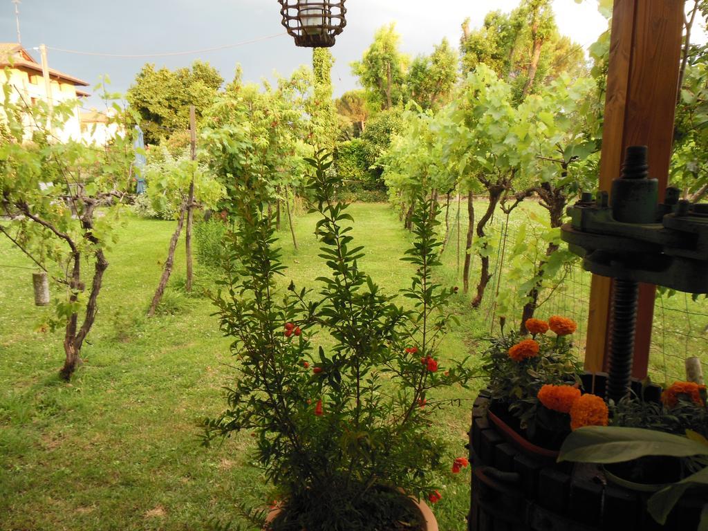 Al Pic De Corone Bed & Breakfast Terzo d' Aquileia Exterior photo